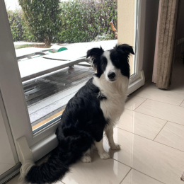 Vicky profile