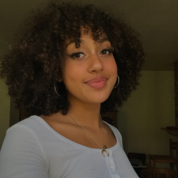 Ines profile