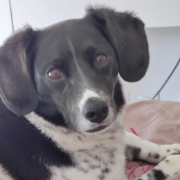 Doudou profile