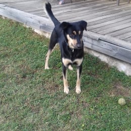 Athena profile