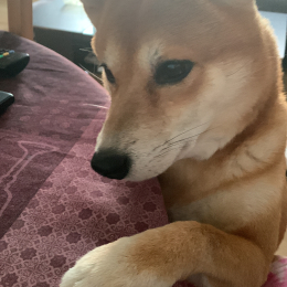 Nours profile
