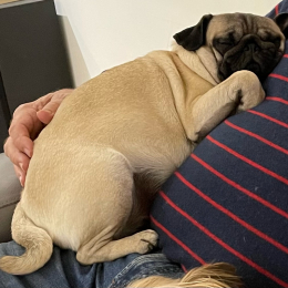 Olie et patate profile