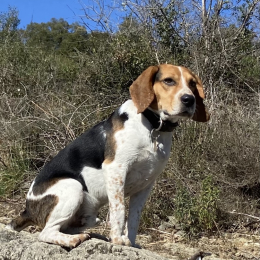 Buster profile