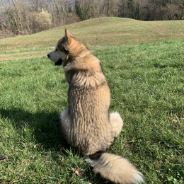 Yuki profile