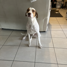 Oscar profile
