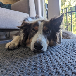Ooper profile