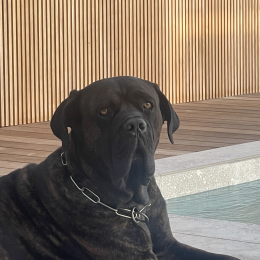 Oskar profile