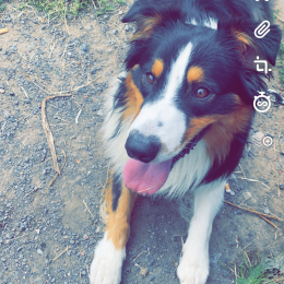 Tiago profile