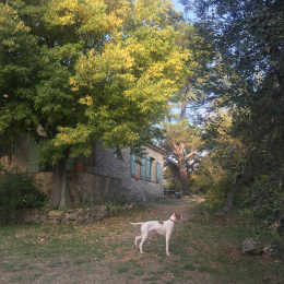 Raksha profile