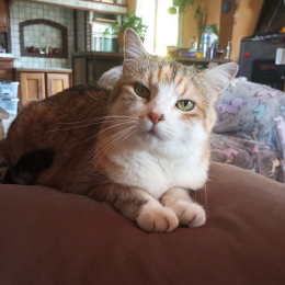 Sabrina profile