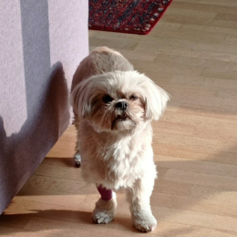 Louna profile
