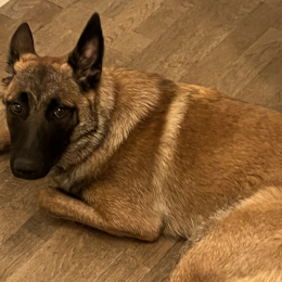 Sahra profile