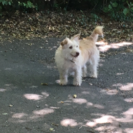 Diane et quézac profile