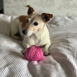 Valentine profile