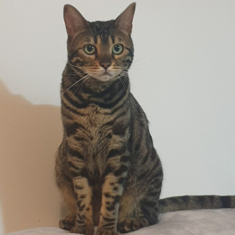 Najla profile