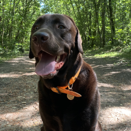 Trooper profile