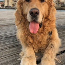 Eliott profile
