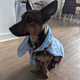 Otto profile