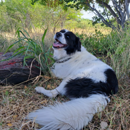 Lena profile