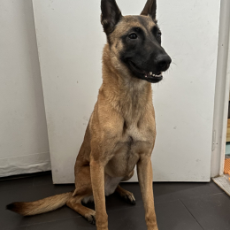 Athena profile