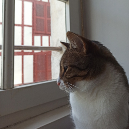 Benjamin profile