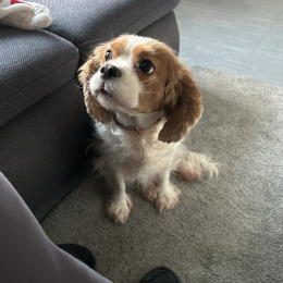 Mia profile