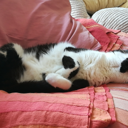 Anne catherine profile