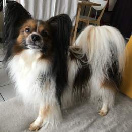 Charlie profile