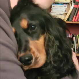 Cecilia