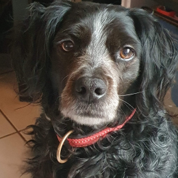 Bandit profile