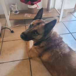 Khali profile