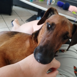 Atos profile