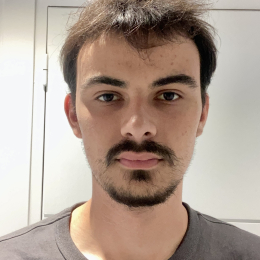 Vincent profile