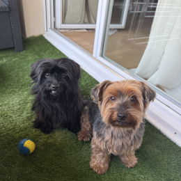 Lucky et snoopy profile