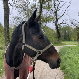 Claire profile