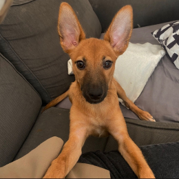 Stormi profile