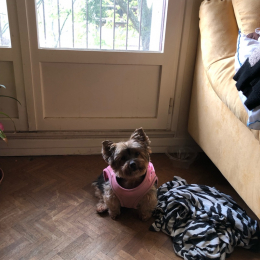 Mimi profile