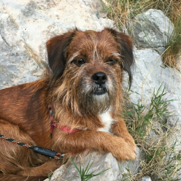 Milow profile