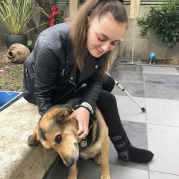 Amandine profile