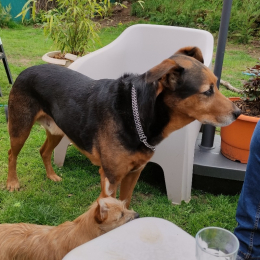Logan profile