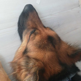 Tina profile