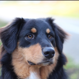 Zoé profile