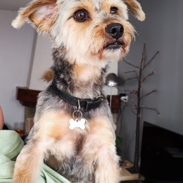 Jumpy profile