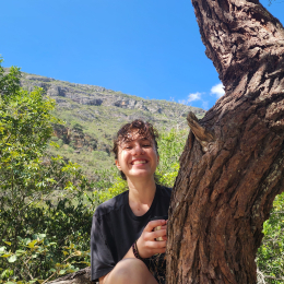 Pyrène profile