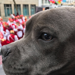 Assïa profile