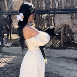Syrene profile
