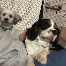 Titou et buddy profile