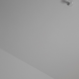 Olaf profile