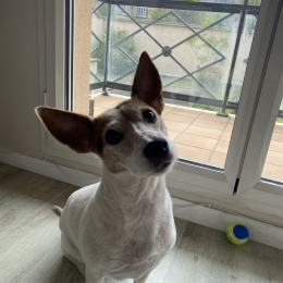 Smart profile
