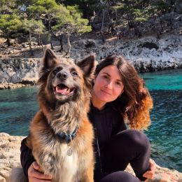 Marine profile